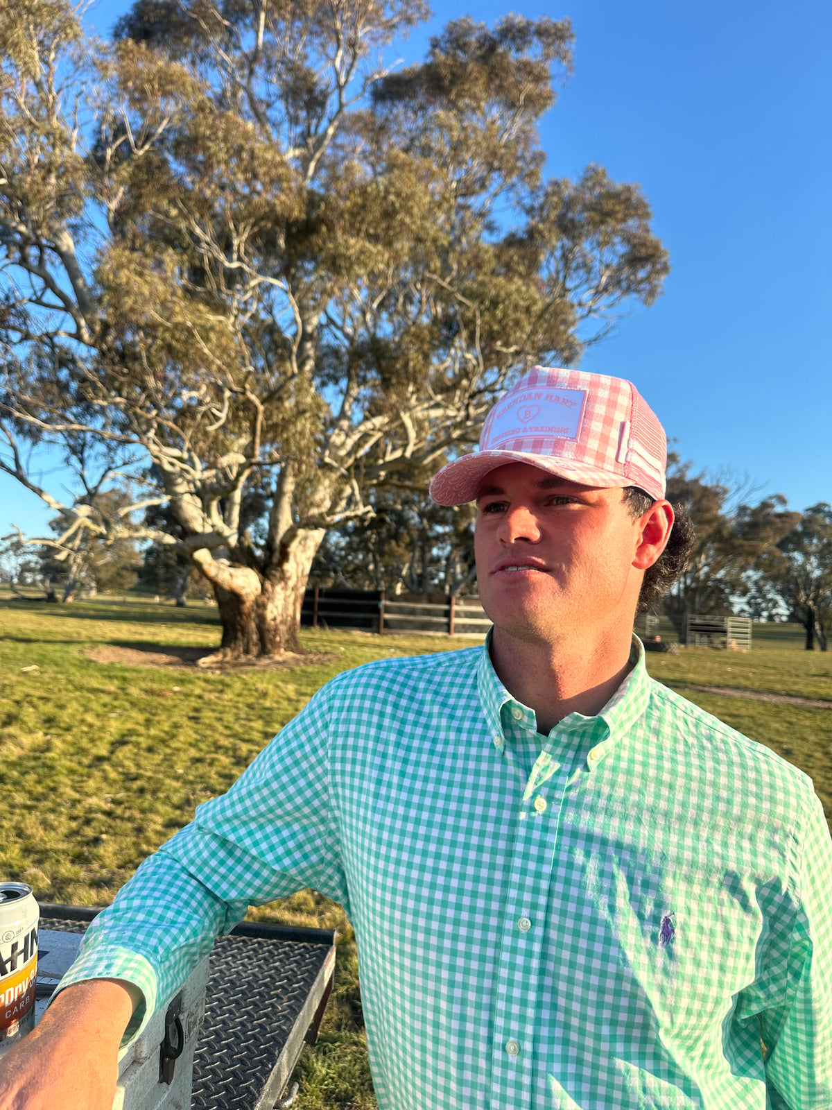 The Gingham
